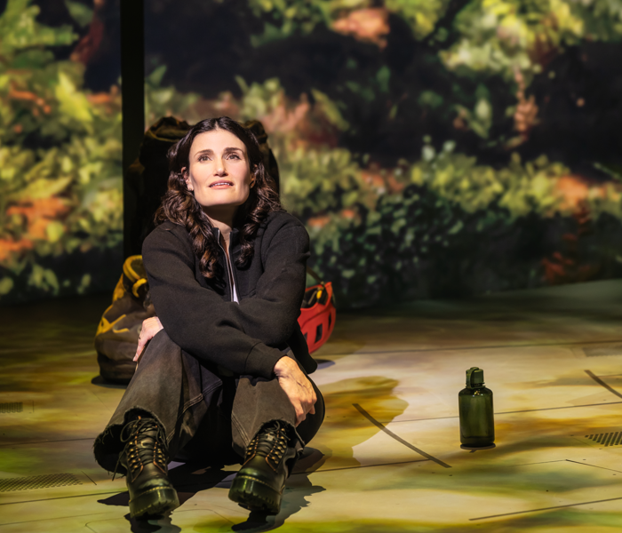 Idina Menzel in Redwood on Broadway. Photo by Matthew Murphy and Evan Zimmerman for Murphy Made.